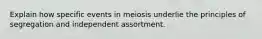 Explain how specific events in meiosis underlie the principles of segregation and independent assortment.