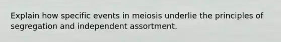 Explain how specific events in meiosis underlie the principles of segregation and independent assortment.