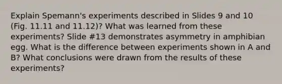 Explain Spemann's experiments described in Slides 9 and 10 (Fig. 11.11 and 11.12)? What was learned from these experiments? Slide #13 demonstrates asymmetry in amphibian egg. What is the difference between experiments shown in A and B? What conclusions were drawn from the results of these experiments?