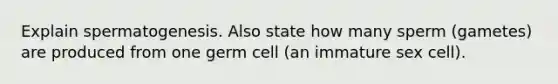 Explain spermatogenesis. Also state how many sperm (gametes) are produced from one germ cell (an immature sex cell).