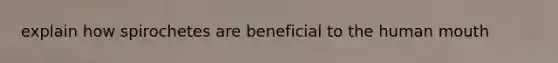 explain how spirochetes are beneficial to the human mouth