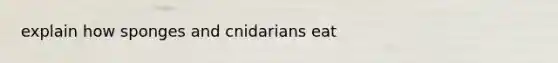 explain how sponges and cnidarians eat