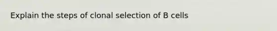 Explain the steps of clonal selection of B cells