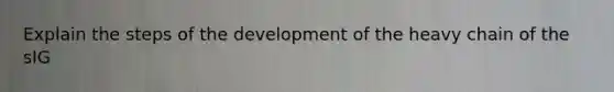 Explain the steps of the development of the heavy chain of the sIG