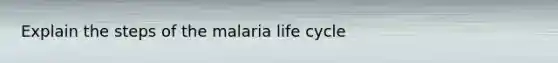 Explain the steps of the malaria life cycle