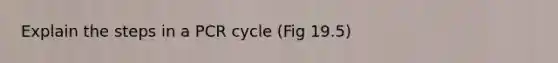 Explain the steps in a PCR cycle (Fig 19.5)