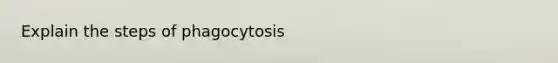 Explain the steps of phagocytosis