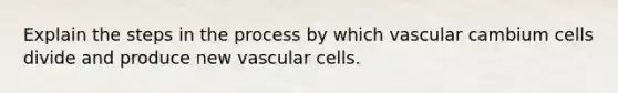 Explain the steps in the process by which vascular cambium cells divide and produce new vascular cells.