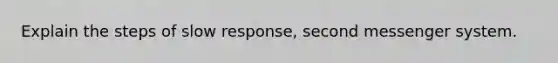 Explain the steps of slow response, second messenger system.