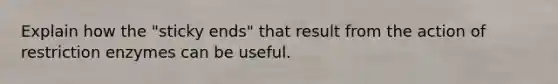 Explain how the "sticky ends" that result from the action of restriction enzymes can be useful.