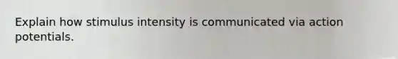 Explain how stimulus intensity is communicated via action potentials.