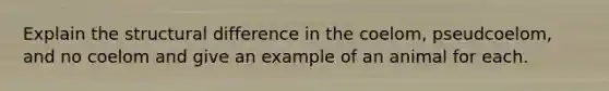 Explain the structural difference in the coelom, pseudcoelom, and no coelom and give an example of an animal for each.