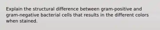 Explain the structural difference between gram-positive and gram-negative bacterial cells that results in the different colors when stained.