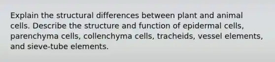 Explain the structural differences between plant and animal cells. Describe the structure and function of epidermal cells, parenchyma cells, collenchyma cells, tracheids, vessel elements, and sieve-tube elements.