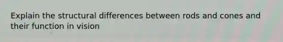 Explain the structural differences between rods and cones and their function in vision