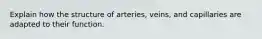 Explain how the structure of arteries, veins, and capillaries are adapted to their function.