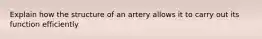 Explain how the structure of an artery allows it to carry out its function efficiently