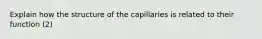 Explain how the structure of the capillaries is related to their function (2)