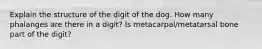 Explain the structure of the digit of the dog. How many phalanges are there in a digit? Is metacarpal/metatarsal bone part of the digit?