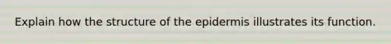 Explain how the structure of the epidermis illustrates its function.