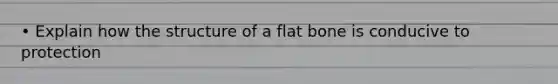 • Explain how the structure of a flat bone is conducive to protection