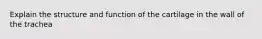 Explain the structure and function of the cartilage in the wall of the trachea