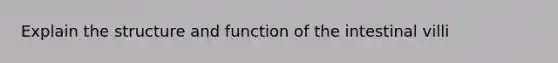 Explain the structure and function of the intestinal villi