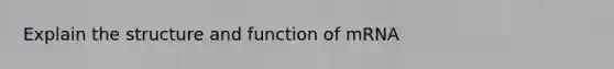 Explain the structure and function of mRNA