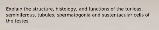 Explain the structure, histology, and functions of the tunicas, seminiferous, tubules, spermatogonia and sustentacular cells of the testes.