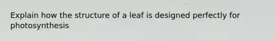 Explain how the structure of a leaf is designed perfectly for photosynthesis