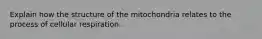 Explain how the structure of the mitochondria relates to the process of cellular respiration.