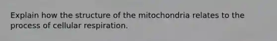 Explain how the structure of the mitochondria relates to the process of cellular respiration.