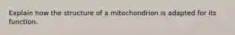 Explain how the structure of a mitochondrion is adapted for its function.