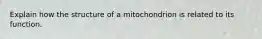 Explain how the structure of a mitochondrion is related to its function.