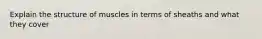 Explain the structure of muscles in terms of sheaths and what they cover