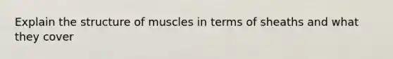 Explain the structure of muscles in terms of sheaths and what they cover