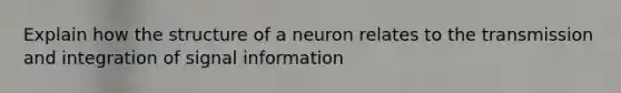 Explain how the structure of a neuron relates to the transmission and integration of signal information