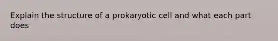 Explain the structure of a prokaryotic cell and what each part does