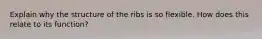 Explain why the structure of the ribs is so flexible. How does this relate to its function?