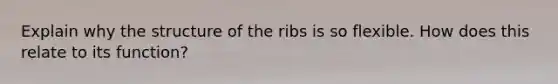 Explain why the structure of the ribs is so flexible. How does this relate to its function?