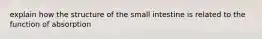 explain how the structure of the small intestine is related to the function of absorption