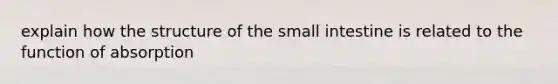 explain how the structure of the small intestine is related to the function of absorption