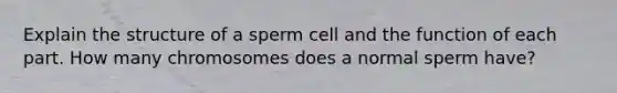 Explain the structure of a sperm cell and the function of each part. How many chromosomes does a normal sperm have?