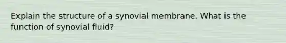 Explain the structure of a synovial membrane. What is the function of synovial fluid?