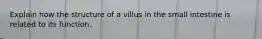 Explain how the structure of a villus in the small intestine is related to its function.