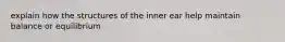 explain how the structures of the inner ear help maintain balance or equilibrium