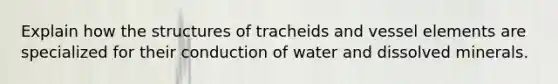 Explain how the structures of tracheids and vessel elements are specialized for their conduction of water and dissolved minerals.