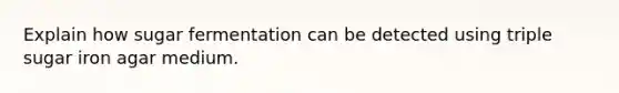 Explain how sugar fermentation can be detected using triple sugar iron agar medium.