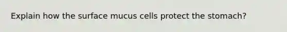 Explain how the surface mucus cells protect the stomach?