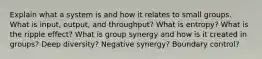 Explain what a system is and how it relates to small groups. What is input, output, and throughput? What is entropy? What is the ripple effect? What is group synergy and how is it created in groups? Deep diversity? Negative synergy? Boundary control?